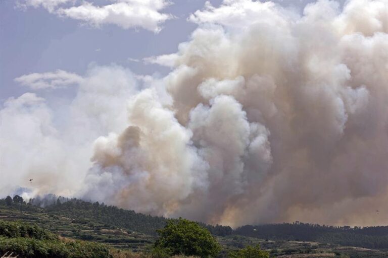 La Guardia Civil abre una investigación para determinar las causas del incendio del norte de Tenerife