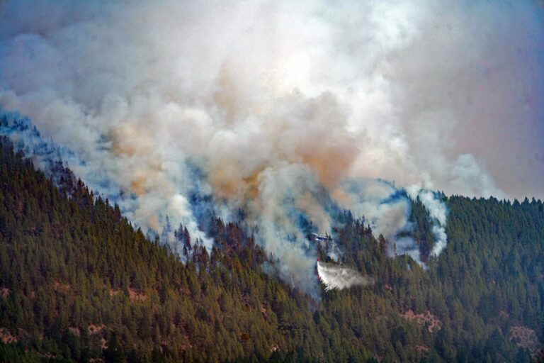Cuatro municipios afectados por el fuego: Los Realejos, La Guancha, San Juan de la Rambla e Icod de los Vinos