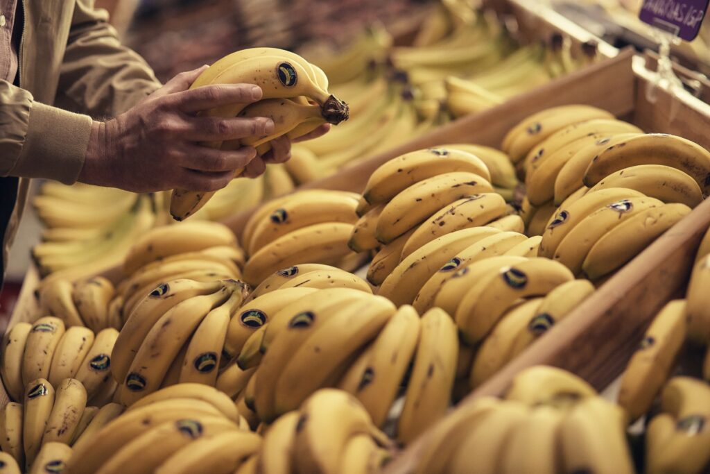 El plátano canario, en crisis tras la erupción de La Palma