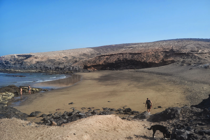 Tres playas oficiales en Gran Canaria para ir con perros