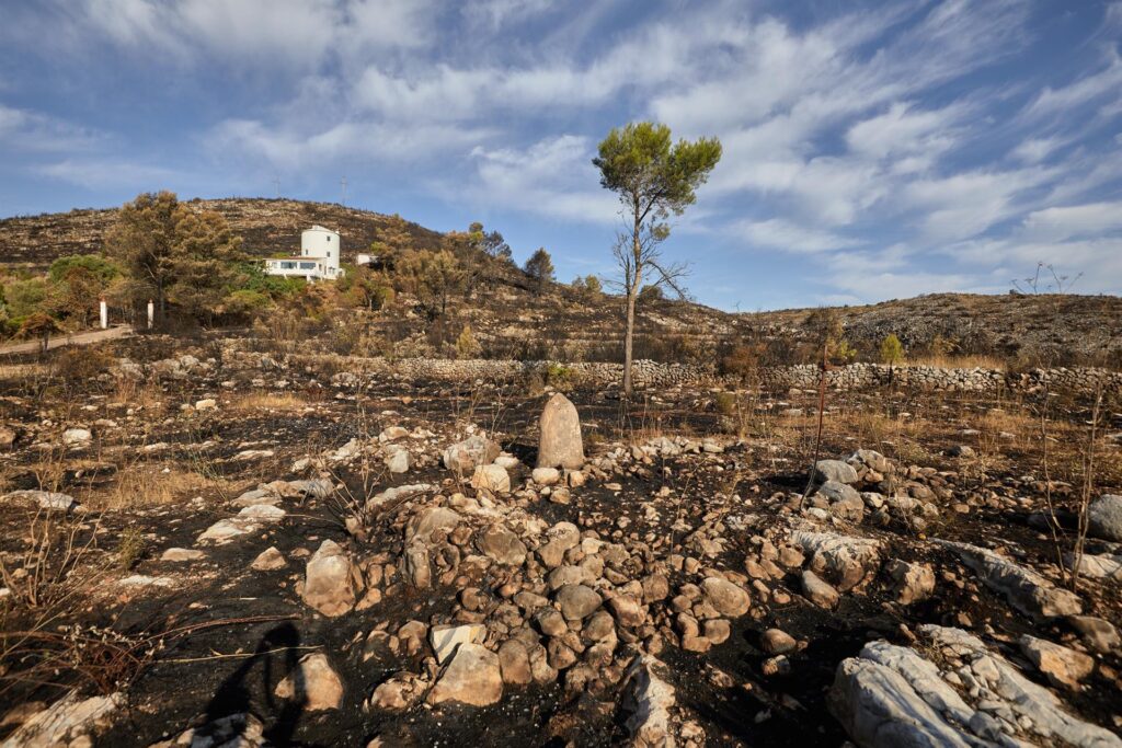 Estabilizado el incendio de Vall d´Ebo en Alicante