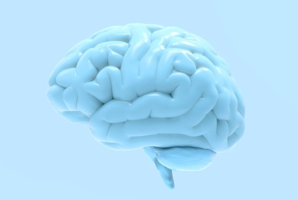 Según el estudio sobre salud cerebral, se calcula que 1 de cada 3 personas desarrollará un trastorno neurológico en algún momento de su vida