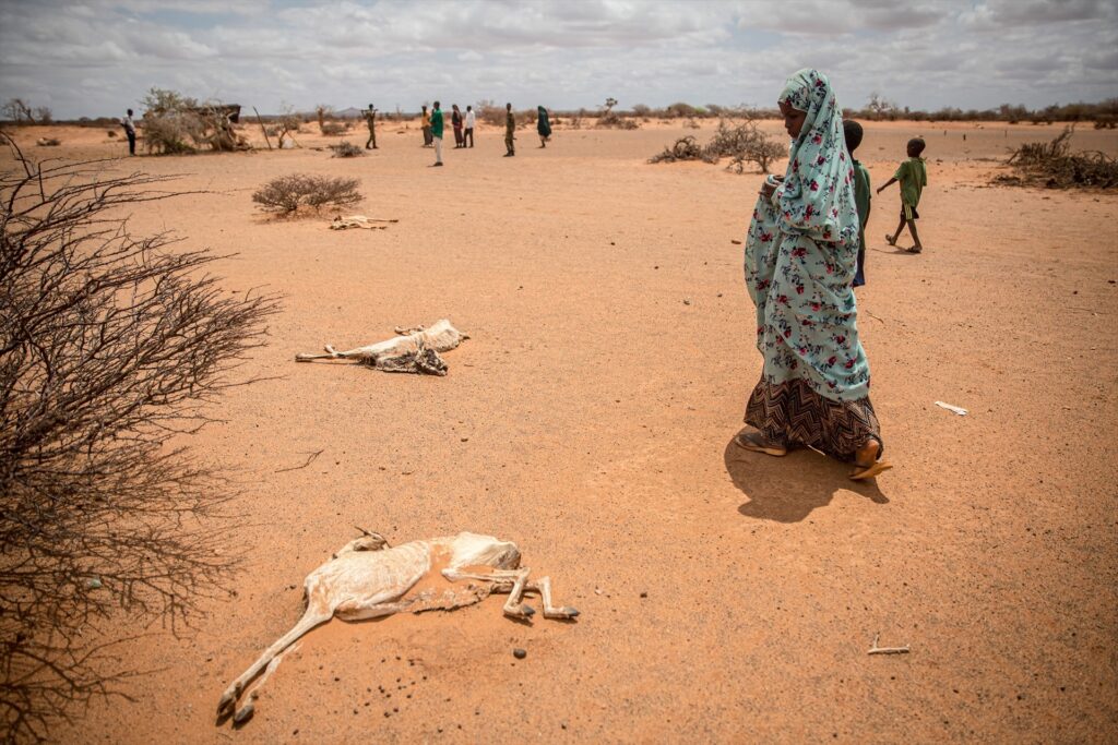 Alertan de que se está "perdiendo la oportunidad para evitar la hambruna" en Somalia