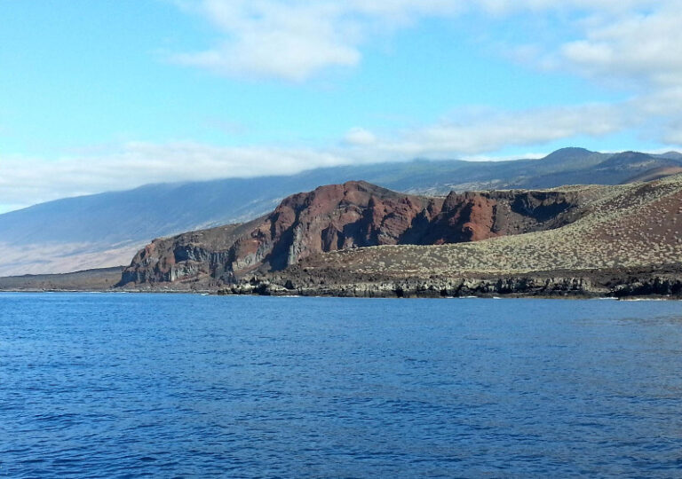 Gobierno canario y Ministerio firman un convenio para la gestión compartida de las reservas marinas de las islas