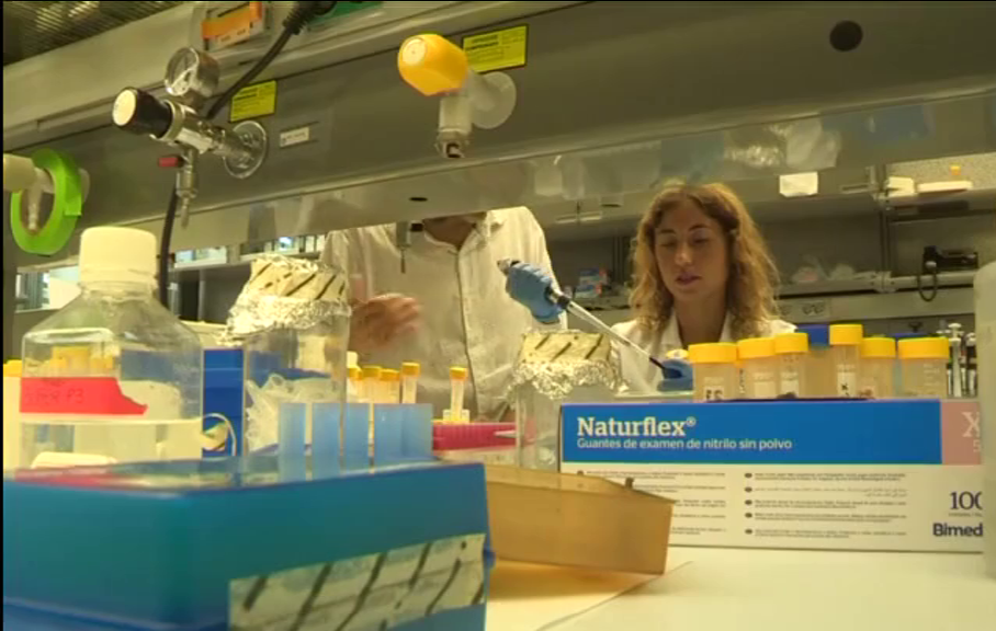 La Asociación Española Contra el Cáncer en Tenerife beca un proyecto de investigación de nuevos fármacos contra el cáncer