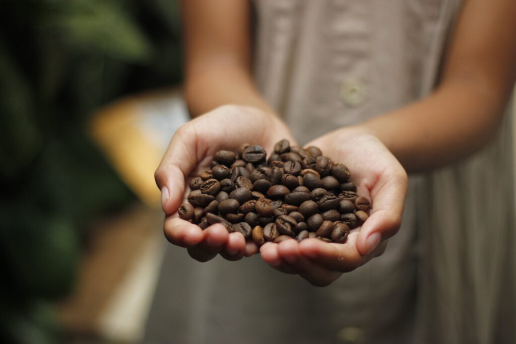 La UE acuerda el veto a las ventas de café, cacao o aceite de palma que causen deforestación