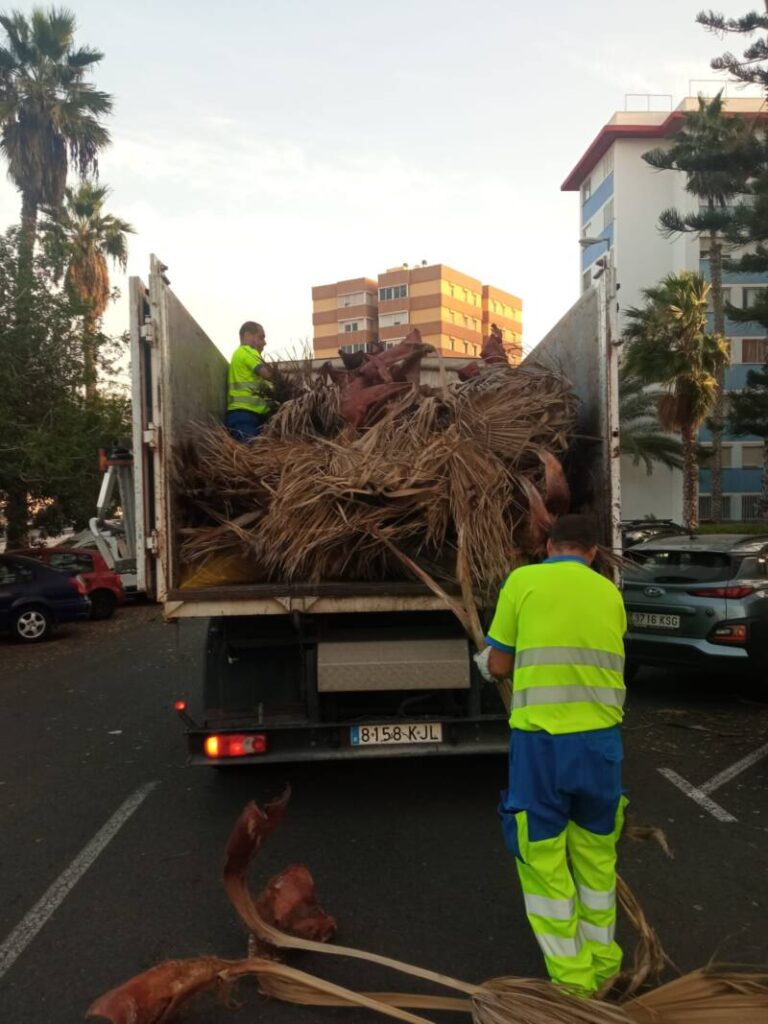 Los servicios municipales de emergencias y limpieza del Ayuntamiento de Las Palmas de Gran Canaria atendieron este martes un centenar de incidencias provocadas por el viento  