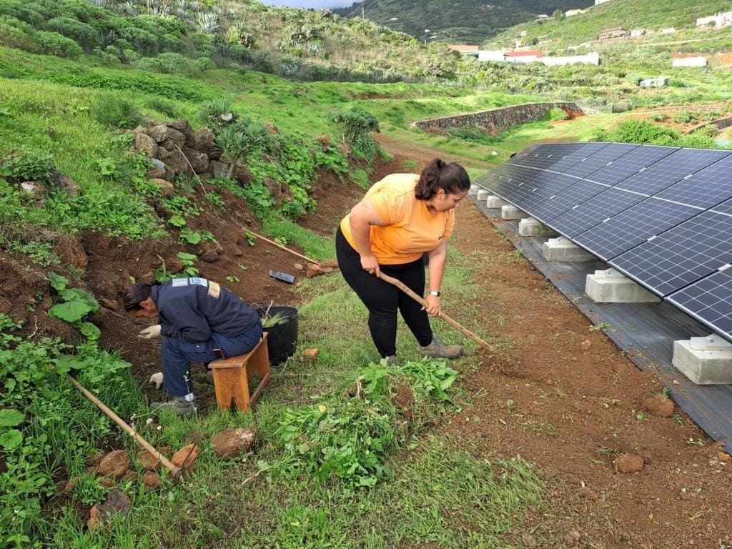 El Cabildo de La Palma incorpora más personal para la conservación de plantas endémicas