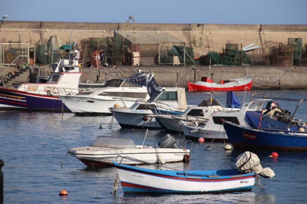 35 barcos podrán hacer pesca recreativa en aguas de Lanzarote y La Graciosa