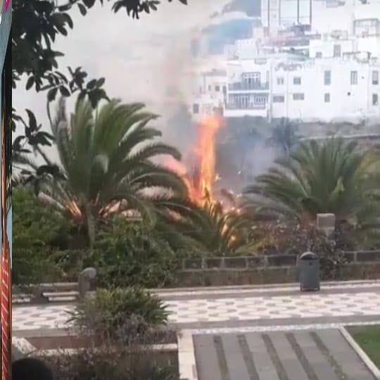 Tres personas condenadas por el incendio de 2018 en el Parque Municipal de Las Flores, en Gran Canaria