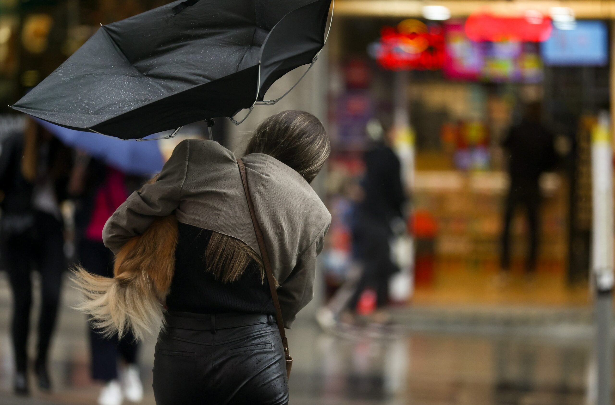 El Viento Provoca Algunos Desprendimientos Y Caída De Ramas