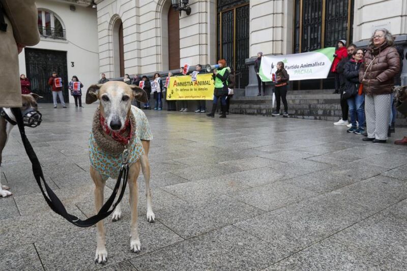 Concentraciones por toda España en contra de la exclusión de los perros de caza de la ley de protección animal