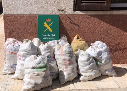 Dos detenidos por el presunto robo de 300 kilos de aguacates en el norte de Tenerife