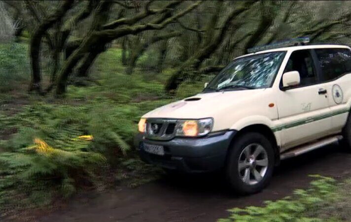 Agentes forestales en La Gomera impiden el 'Tarzan Movement' en el Garajonay