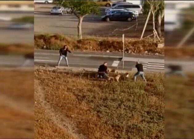 Manifestación y firmas contra el sacrificio de los perros tiroteados en un operativo policial en Tenerife