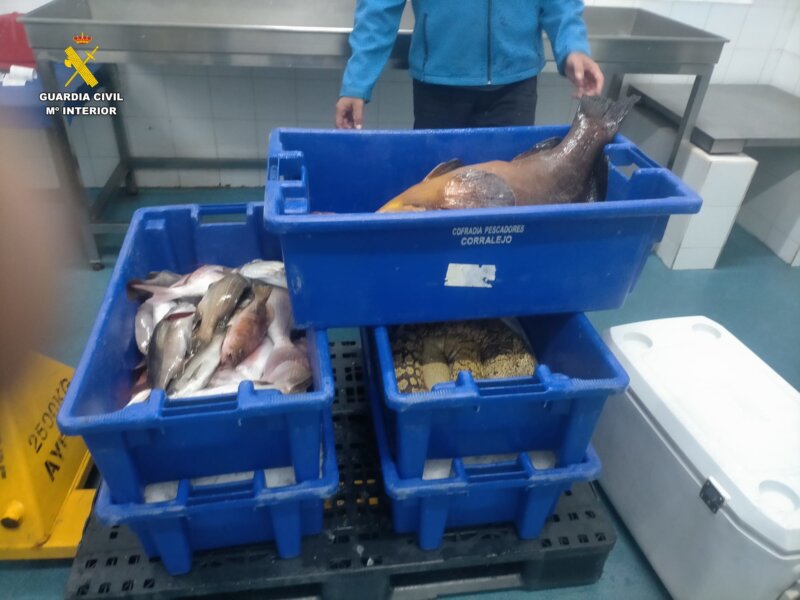 Intervenidos 104 kilos de pescado a tres pescadores deportivos en Fuerteventura