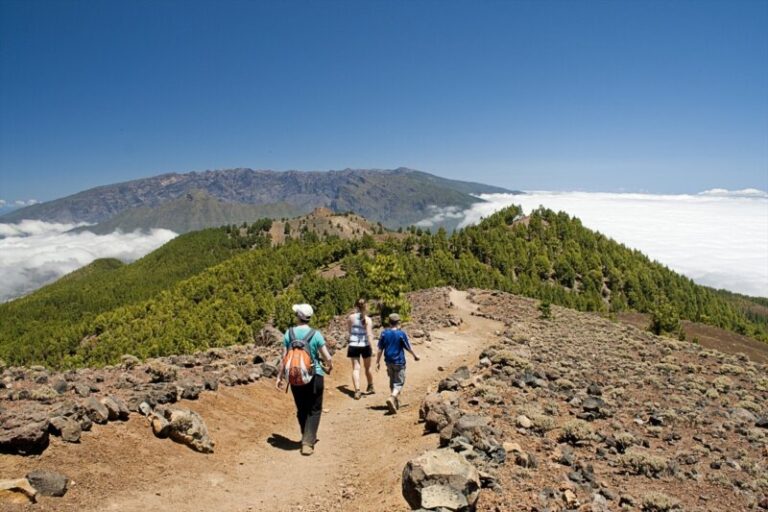 La patronal turística analiza los posibles motivos de los malos datos alojativos en La Palma