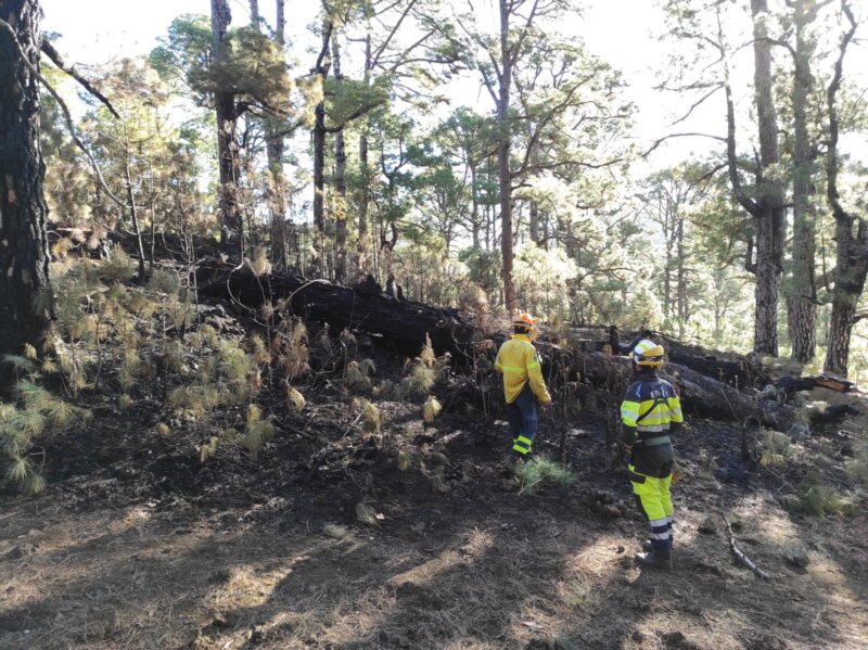 Extinguido el conato de incendio forestal en El Morcillo, El Hierro 