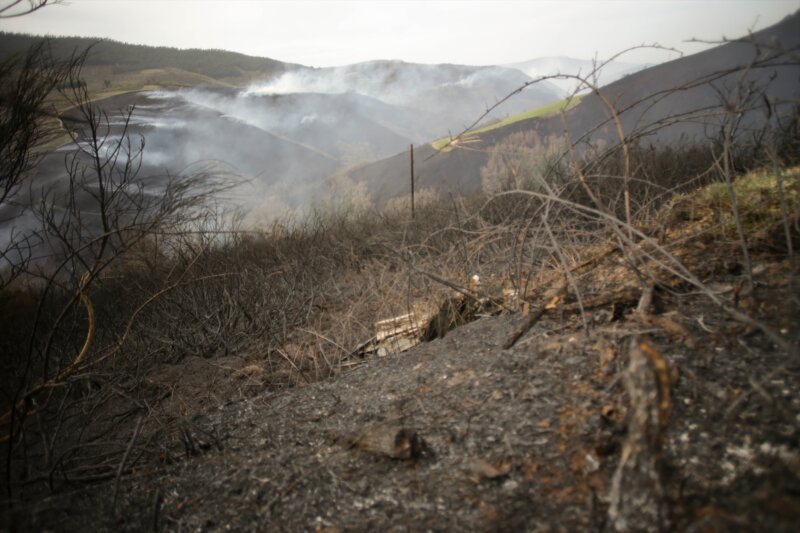 Más de media España en riesgo de incendios forestales