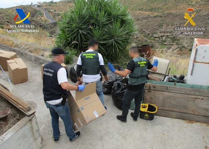 Desarticulado en Tenerife un grupo criminal dedicado al cultivo y tráfico de hachís 'Drysift'