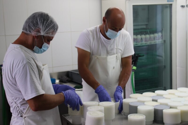 El Gobierno destina 3 millones a la industria láctea y queserías artesanales