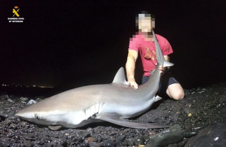 Detenido el responsable de excursiones para la pesca de especies protegidas