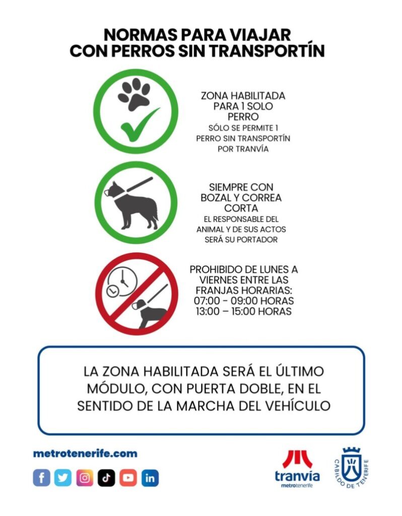 Normas para viajar con perro sin trasportín en Tranvía de Tenerife