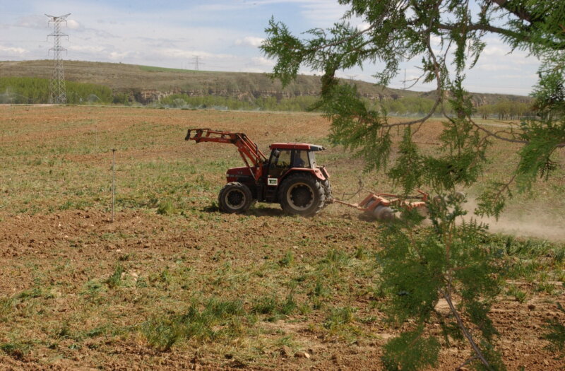 Cerca de 710 millones en ayudas para los agricultores afectados por la sequía