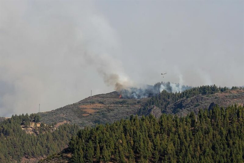 El fuego declarado este martes en el municipio de Tejeda, en Gran Canaria, afecta a 200 hectáreas