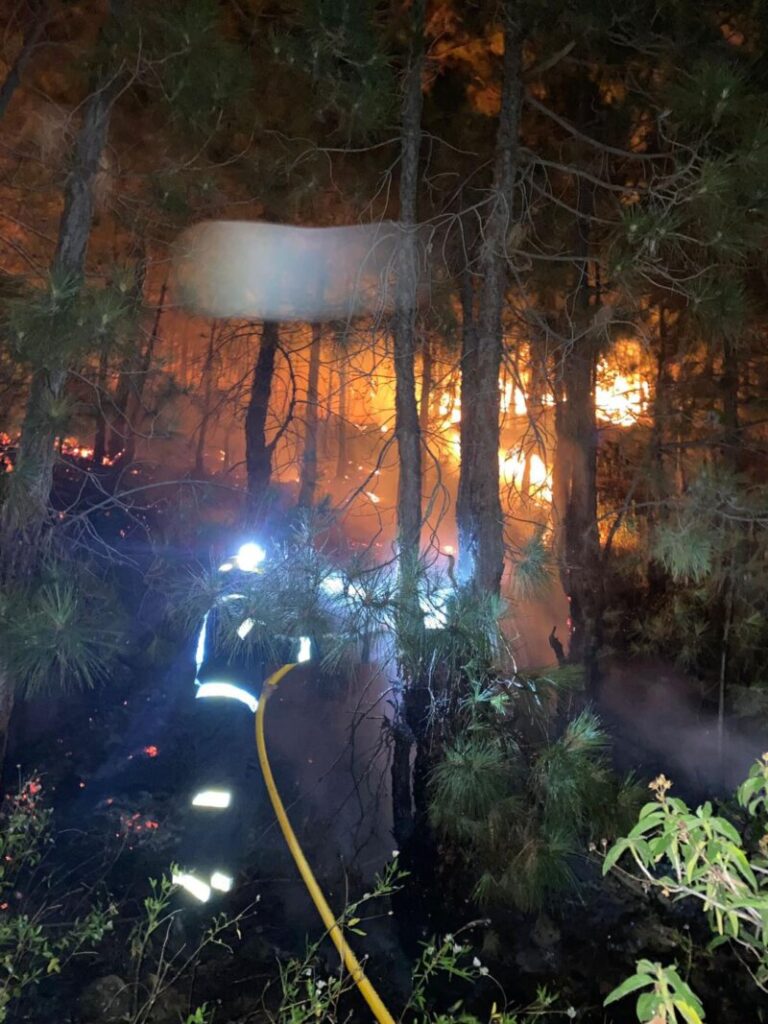 El incendio de La Palma apenas ha avanzado y se mantiene dentro del perímetro