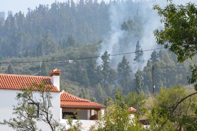 Los equipos forestales tratan de contener en el municipio de Puntagorda, en La Palma, el incendio que se declaró el sábado de madrugada y que ya se extiende sobre más de 4.600 hectáreas. EFE/Miguel Calero