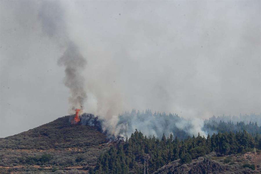 El incendio que se ha declarado este martes en la cumbre de Gran Canaria en Los Llanos de la Pez, con dirección hacia el Pico de Las Nieves, "se ha escapado inicialmente de los primeros medios de control por las cenizas voladoras", según ha indicado el director técnico de Emergencias del Cabildo, Federico Grillo. 