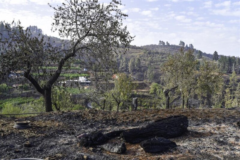 El incendio de La Palma ha afectado a sesenta inmuebles