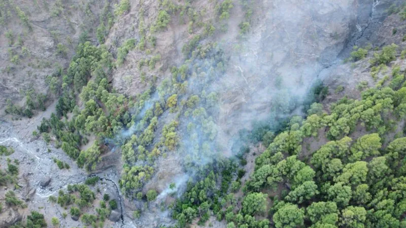 Como ocurre en la mayoría de los incendios de Canarias, el fuego de La Palma ha afectado a una zona de medianías entre el hábitat rural y la corona forestal