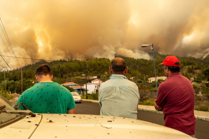 Incendio forestal en Puntagorda en La Palma / Noticias más destacadas de 2023