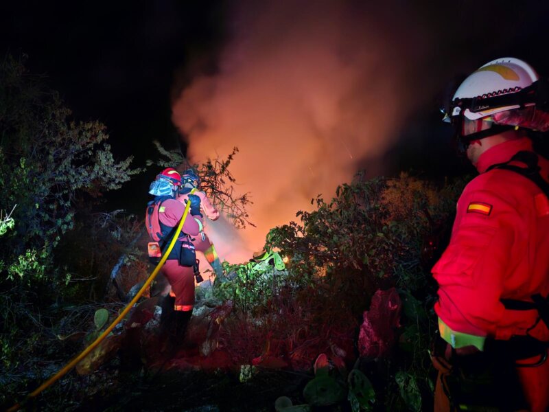 Continúa la lucha contra las llamas en el incendio de La Palma