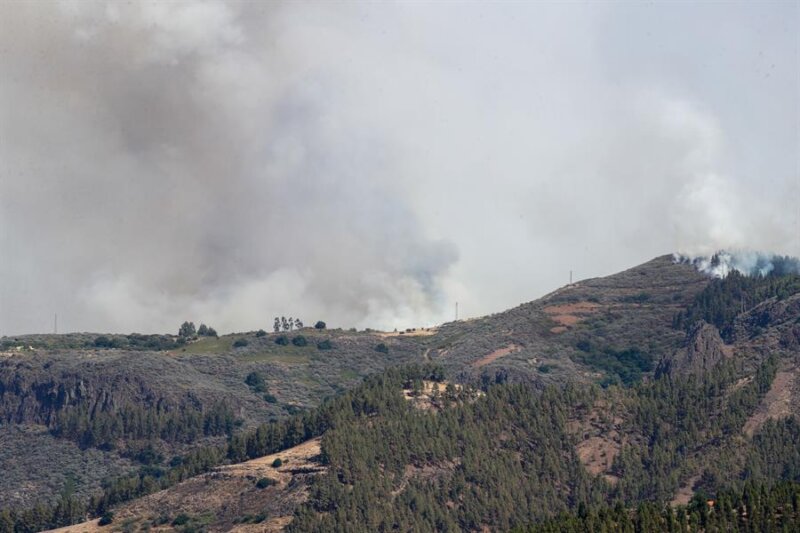 El incendio que se ha declarado este martes en la cumbre de Gran Canaria en Los Llanos de la Pez, con dirección hacia el Pico de Las Nieves. EFE/ Elvira Urquijo A.