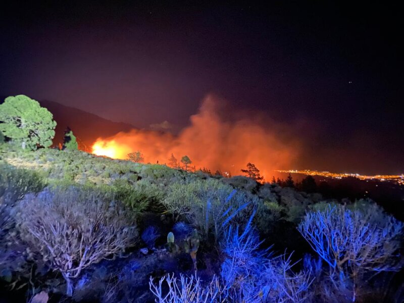 Imagen de Bomberos de Tenerife que actúan en la extinción del incendio de Arafo (Tenerife)