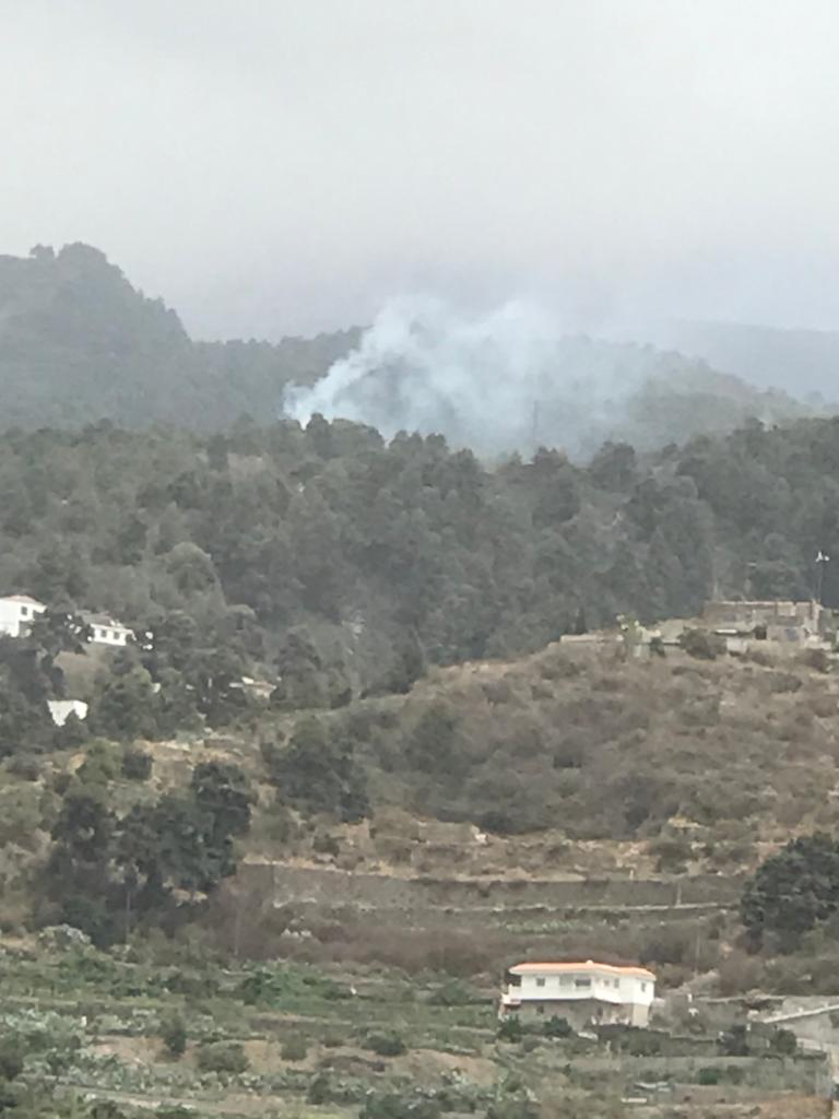 En la extinción del fuego han participado las brigadas forestales del Cabildo de Tenerife, dos helicópteros y medios del ayuntamiento de Los Realejos y de la Administración del Estado