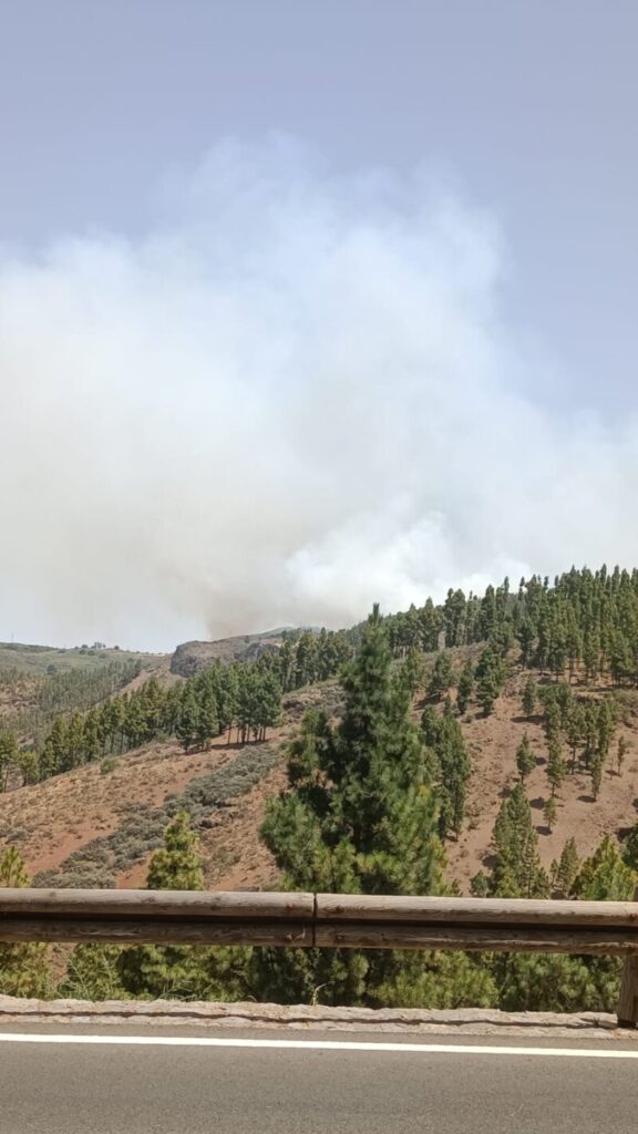Les mostramos las imágenes que deja este incendio declarado este marte en el Cortijo de Huertas, en la Cumbre de Gran Canaria, dentro del municipio de Tejeda