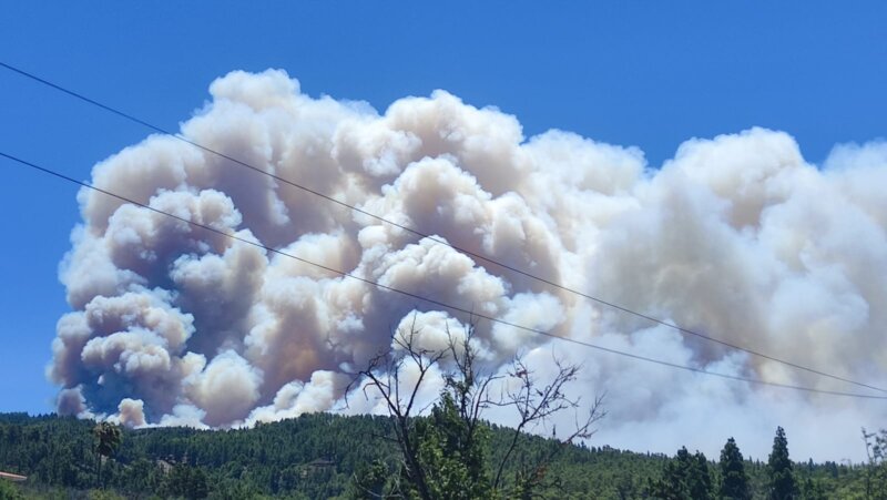Imagen captada por la Atbrif del incendio de Puntagorda en La Palma a las 14:05