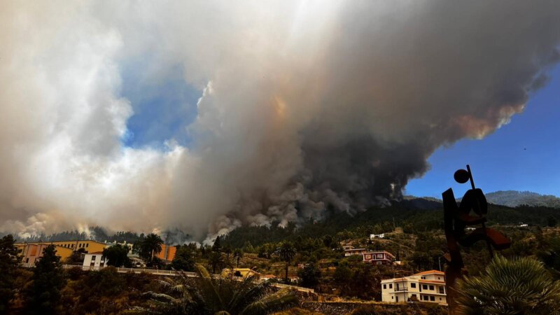 El incendio forestal de Puntagorda ya ha afectado a 4.500 hectáreas