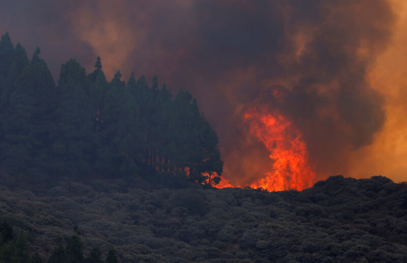 Incendio forestal en Gran Canaria, en el área de Pico de las Nieves / Reuters / Borja Suárez