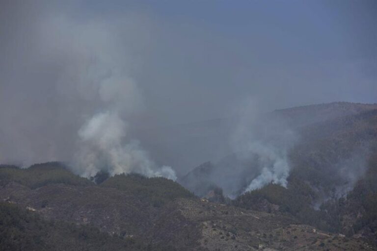 El perímetro del incendio de Tenerife «no avanza»