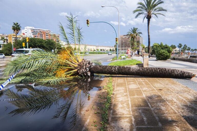 Seis comunidades en alerta por lluvia, viento y oleaje, con tres mediterráneas en naranja