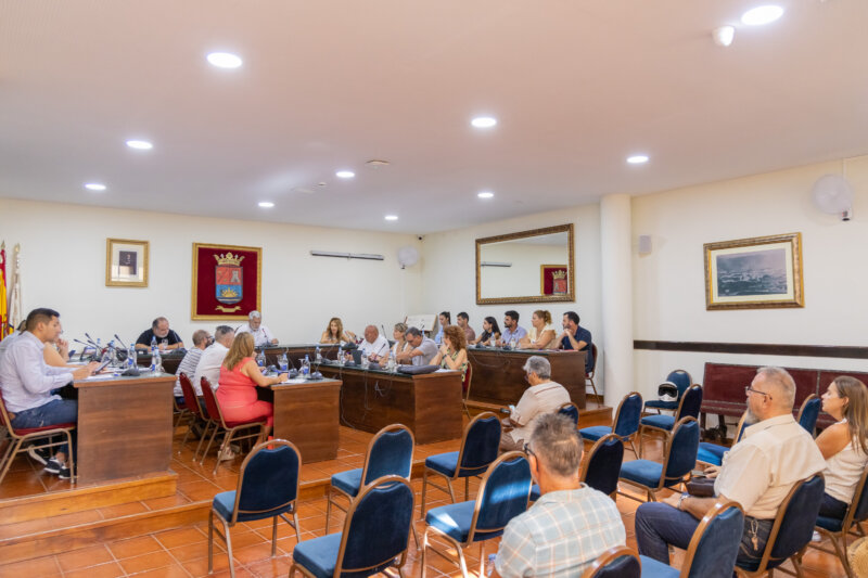 Celebración del pleno municipal donde el Ayuntamiento de Adeje ratificó la cesión de suelo para construir 45 viviendas sociales