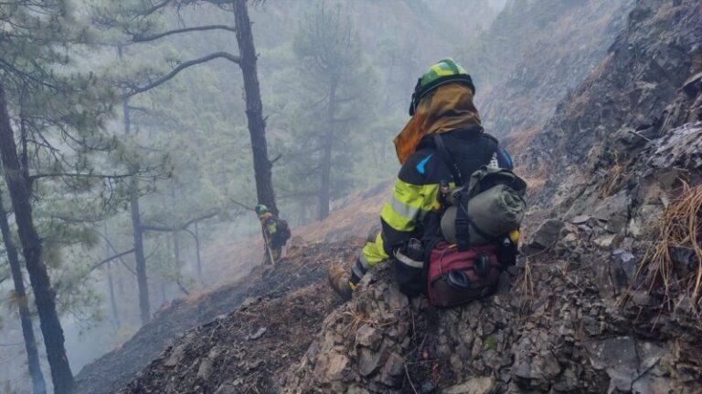El PP propone medidas urgentes para los afectados por el incendio de La Palma