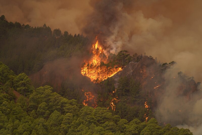 El incendio declarado en Arafo y Candelaria está fuera de control