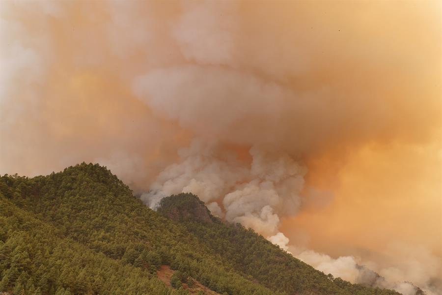 El incendio de Tenerife ha arrasado más de 3.000 hectáreas
