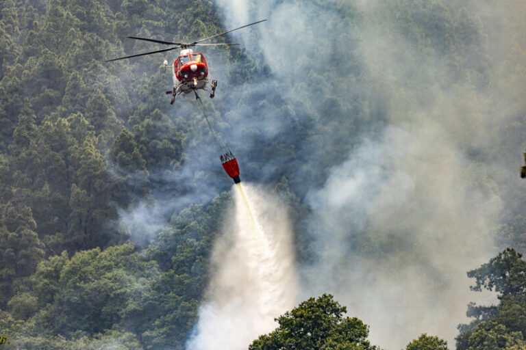Sánchez asegura que el Gobierno declarará como catastrófica la zona afectada por el incendio de Tenerife